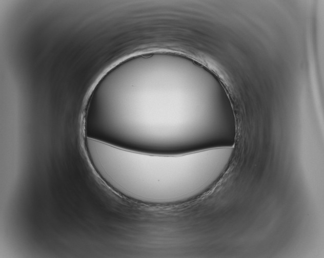 X0000100341524200806051214