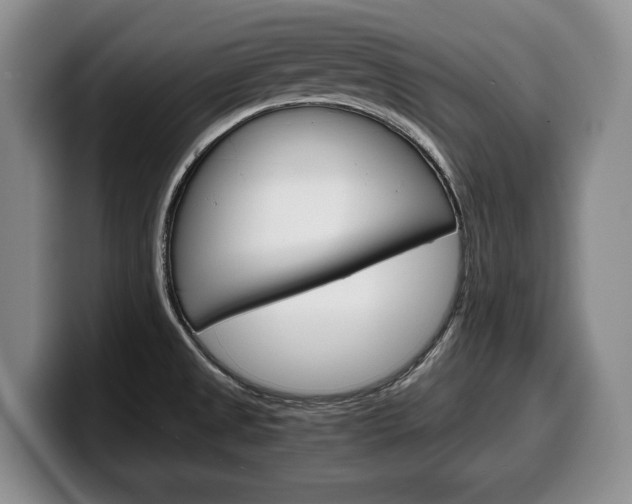 X0000100341525200806051214