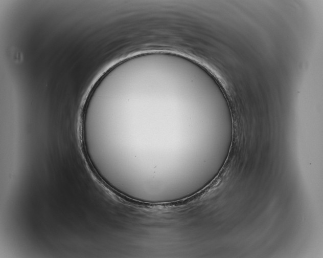 X0000100341527200806051214