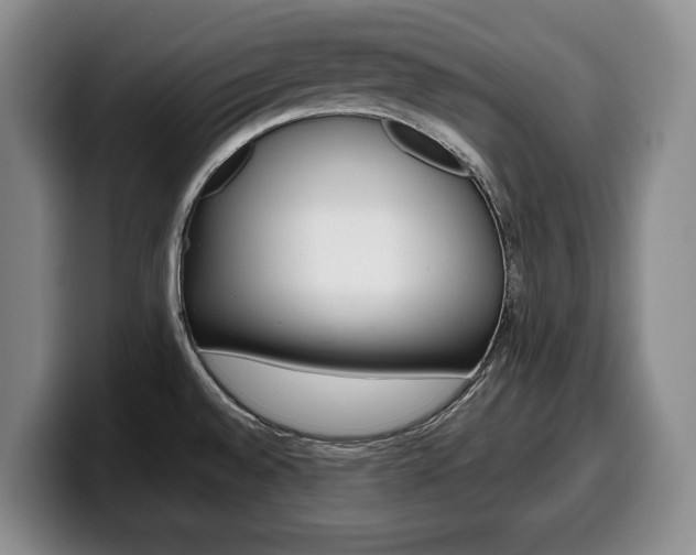 X0000100341528200806051214