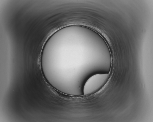 X0000100341529200806051214