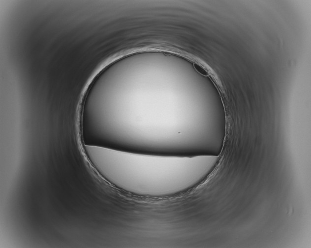 X0000100341530200806051214