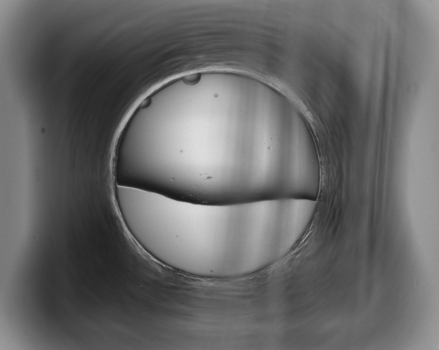 X0000100341532200806051214