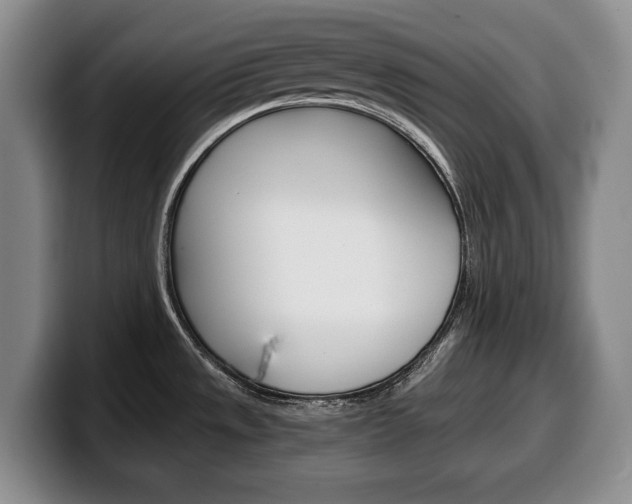 X0000100341533200806051214