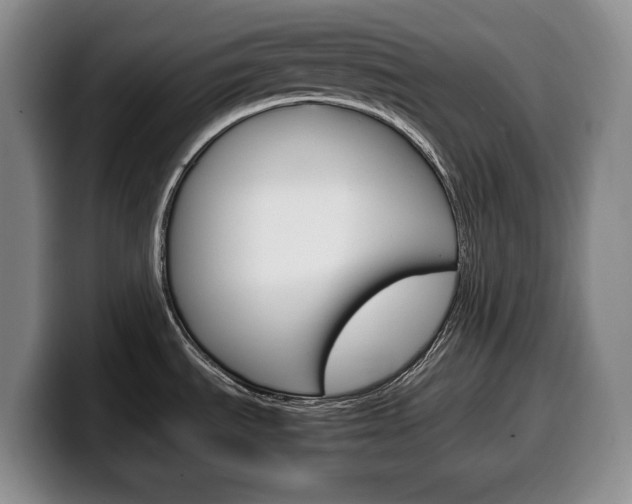 X0000100341535200806051214