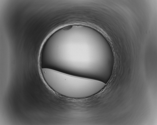 X0000100341536200806051214
