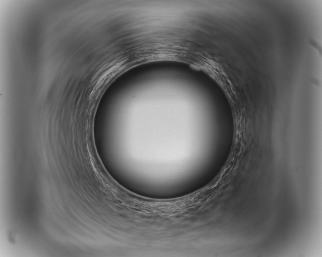 X0000100340001200806051549
