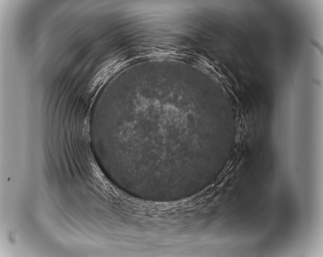 X0000100340002200806051549