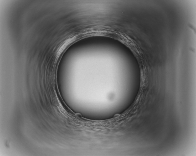 X0000100340003200806051549