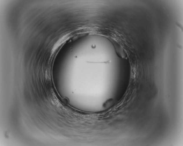 X0000100340004200806051549