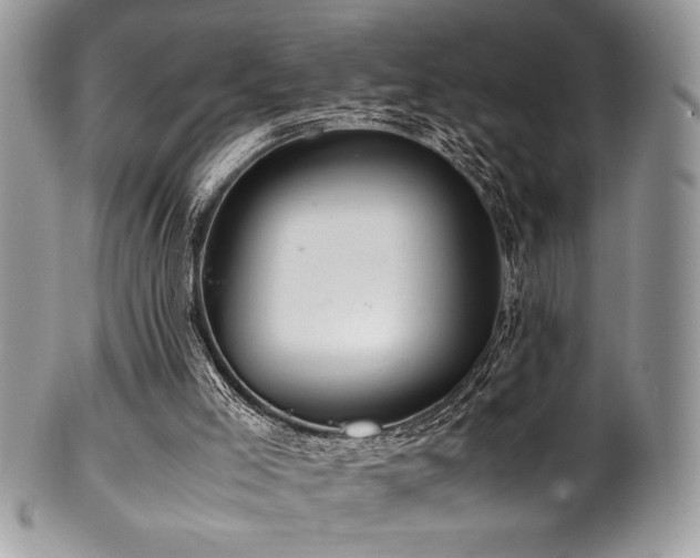 X0000100340005200806051549