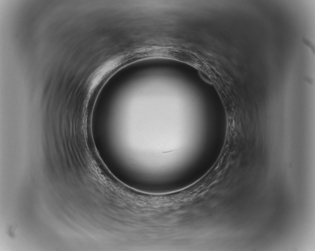 X0000100340006200806051549