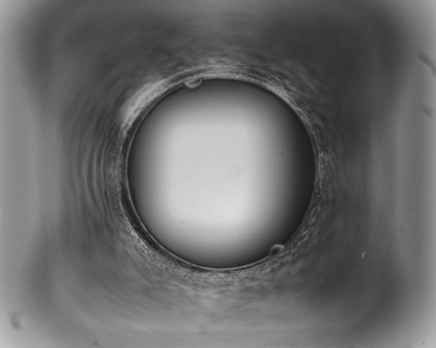 X0000100340007200806051549