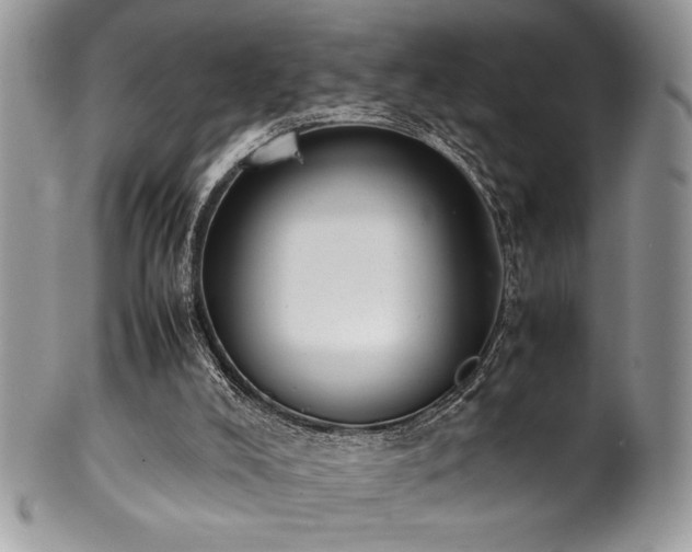 X0000100340008200806051549