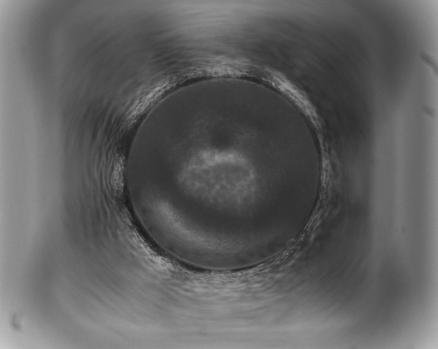 X0000100340009200806051549