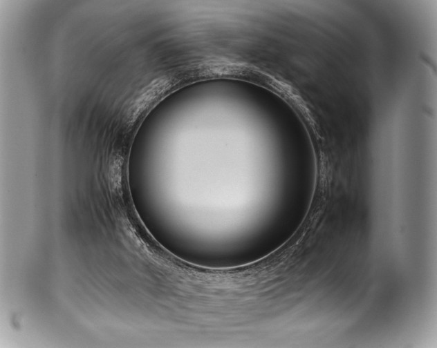 X0000100340010200806051549