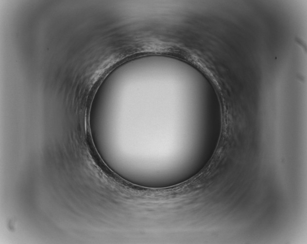 X0000100340011200806051549
