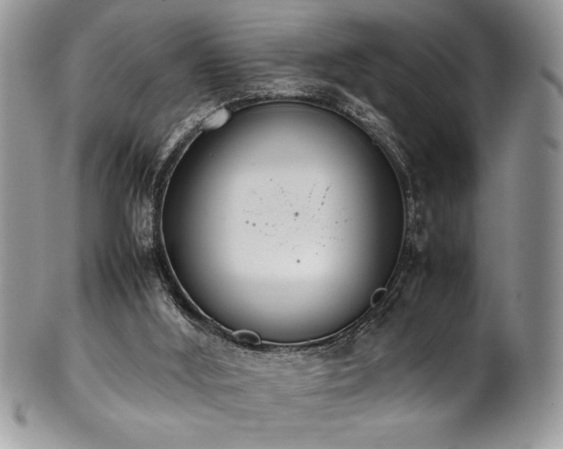 X0000100340012200806051549