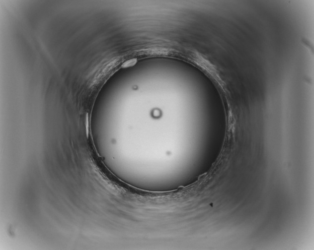 X0000100340013200806051549