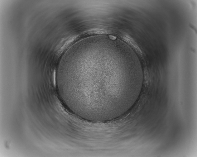 X0000100340014200806051549