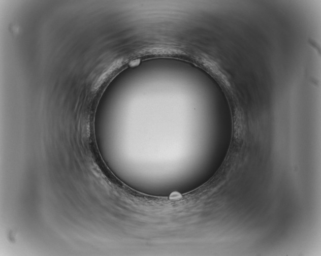 X0000100340015200806051549