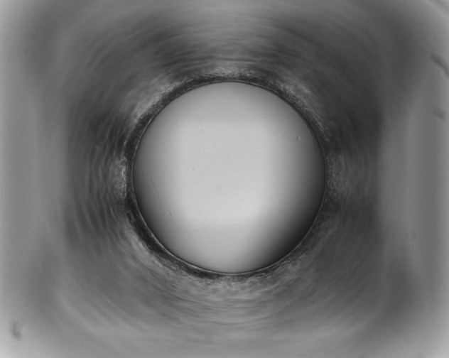 X0000100340016200806051549