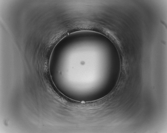 X0000100340017200806051549