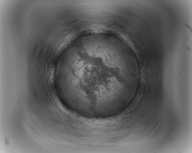 X0000100340018200806051549