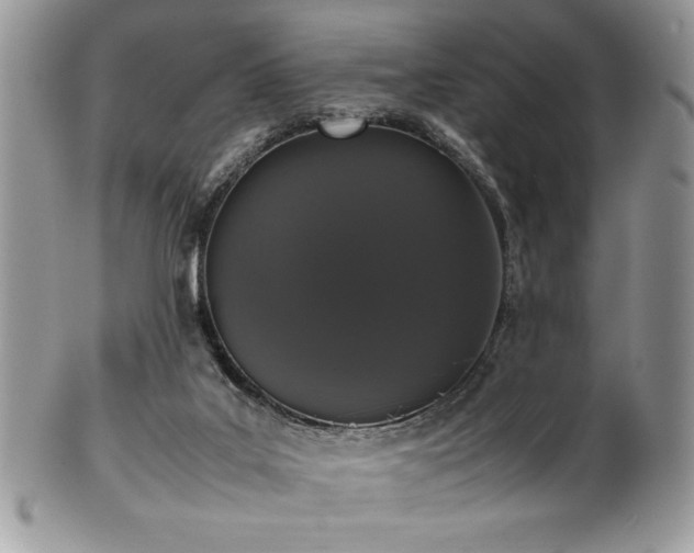 X0000100340019200806051549