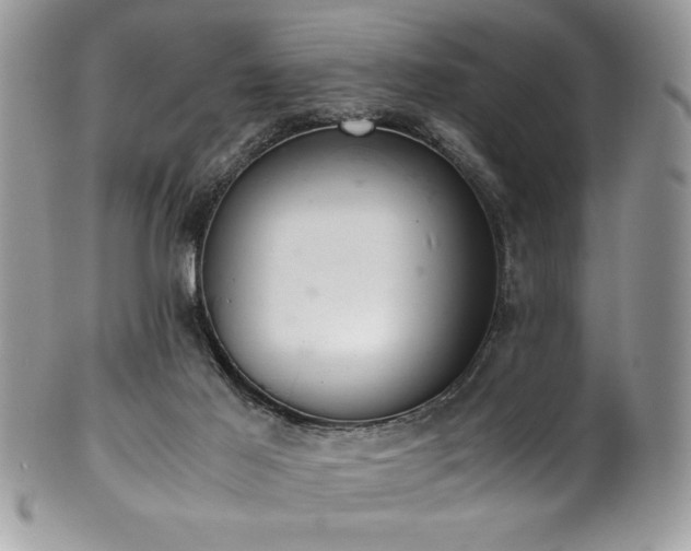 X0000100340021200806051549