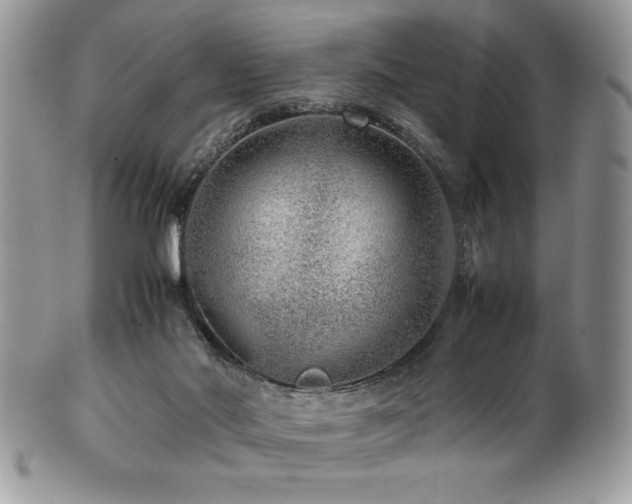 X0000100340022200806051549