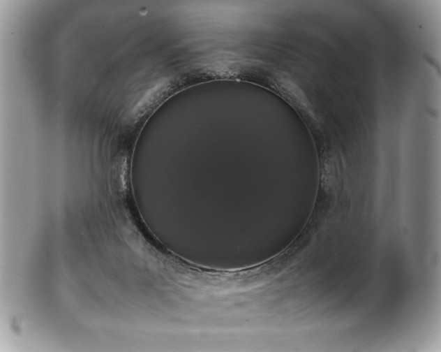 X0000100340023200806051549