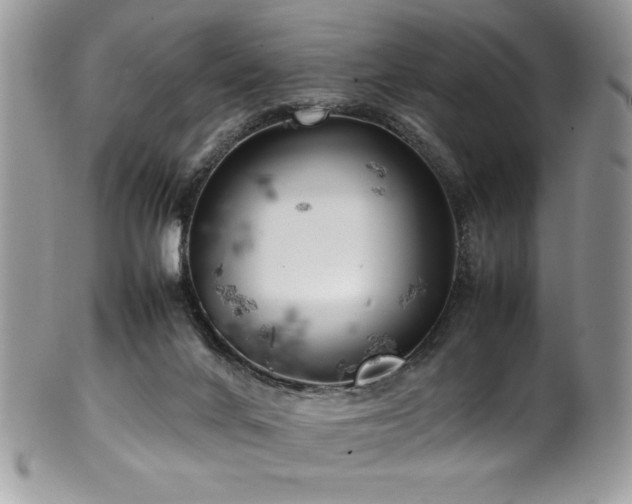 X0000100340024200806051549