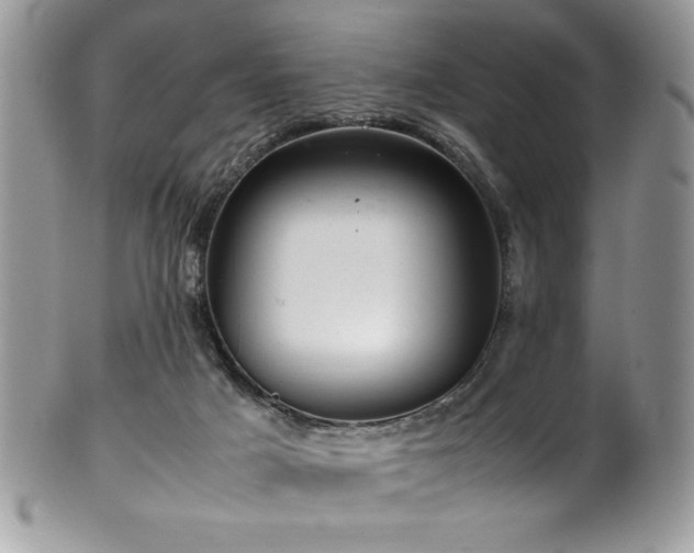 X0000100340025200806051549