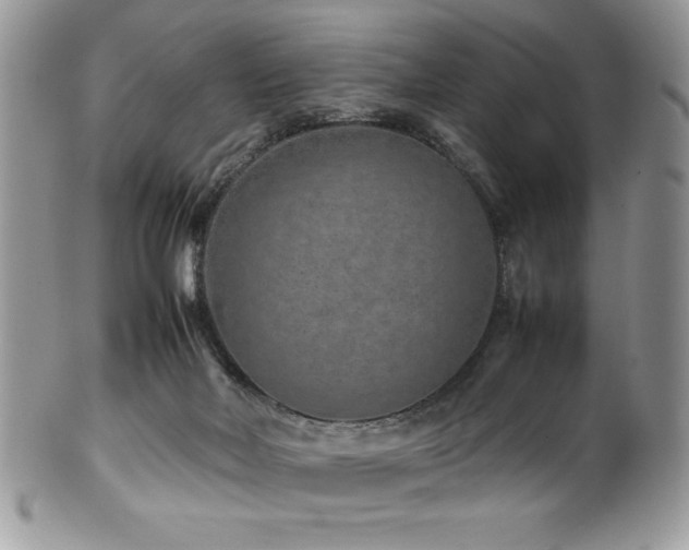 X0000100340026200806051549