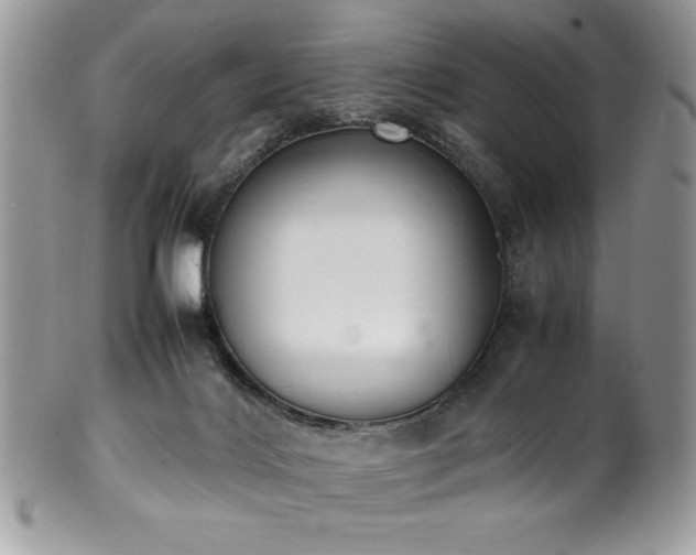 X0000100340028200806051549