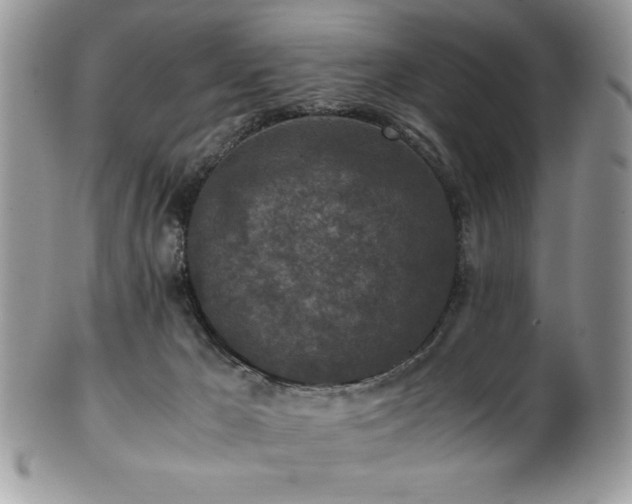 X0000100340029200806051549