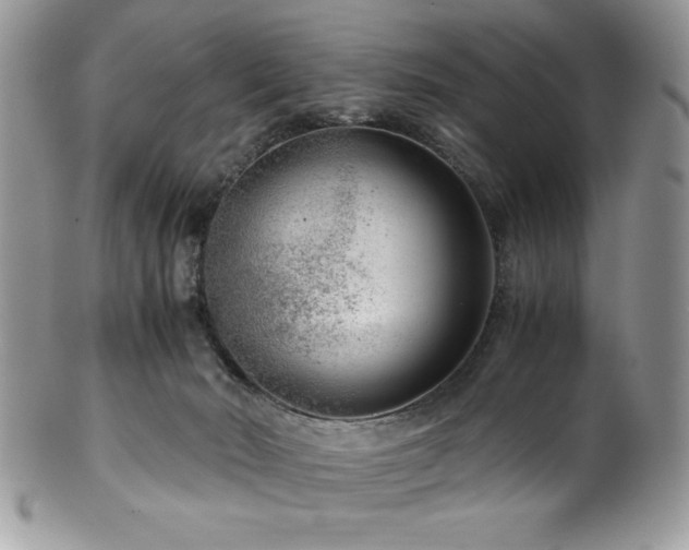X0000100340030200806051549