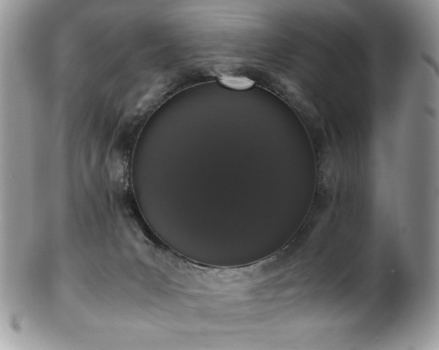 X0000100340031200806051549