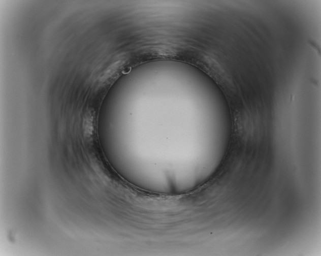 X0000100340032200806051549
