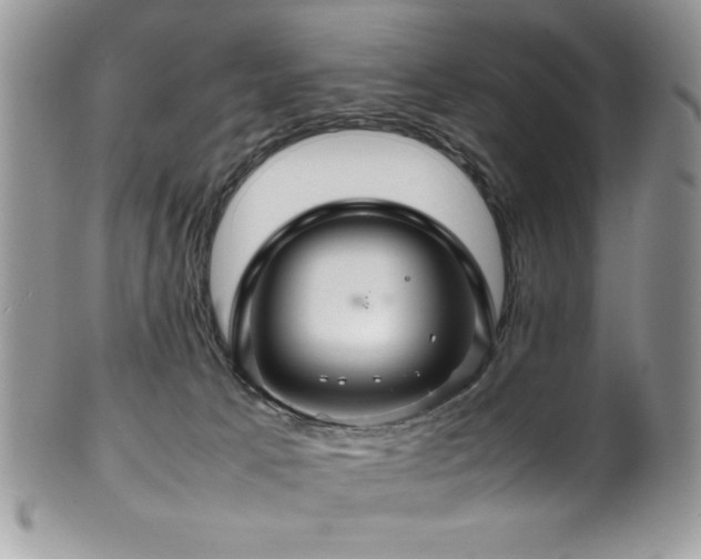 X0000100340033200806051549