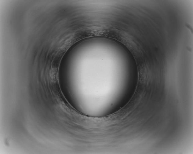 X0000100340034200806051549