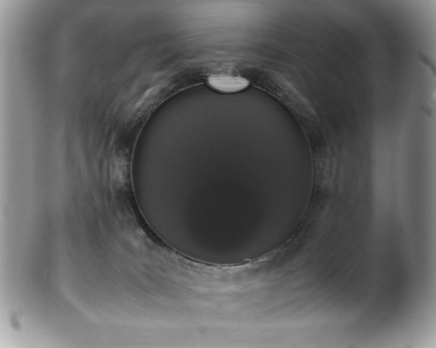 X0000100340035200806051549