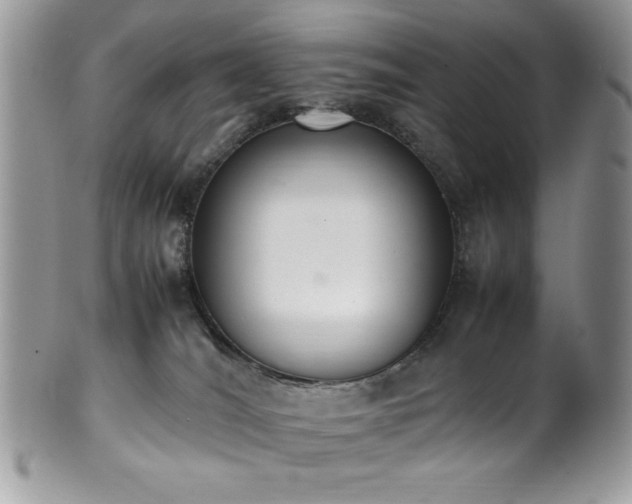 X0000100340036200806051549