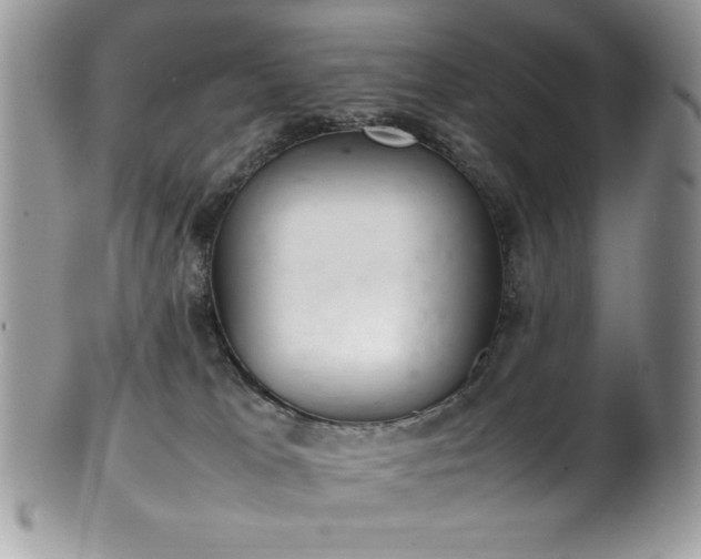X0000100340037200806051549