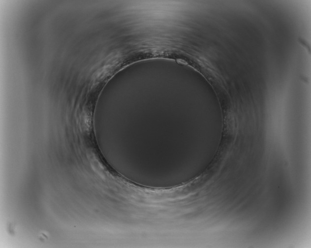 X0000100340039200806051549