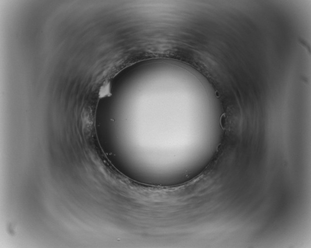 X0000100340040200806051549