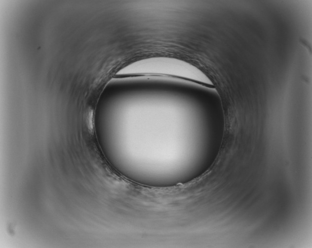 X0000100340041200806051549