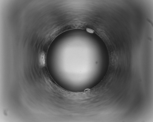 X0000100340042200806051549