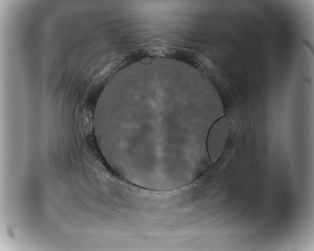 X0000100340043200806051549